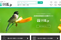 生物専門図鑑の読み放題サイト「図鑑.jp」植物、野鳥図鑑を公開 画像