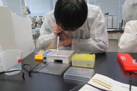 中高生向け実験イベント「遺伝子ラボ」日本科学未来館 画像