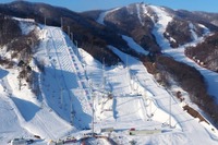 冬季オリンピック観戦ツアー受付開始…フィギュアスケート男子、スキージャンプ女子 画像