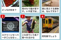 iPhoneで写真を撮って質問できる「コレナニ？」…はてな 画像