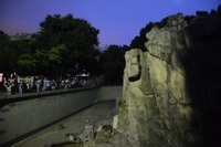 【夏休み2017】夜の動物園・ナイトズー、東京・神奈川・大阪の6園を特集 画像