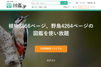 「図鑑.jp」無料トライアル、植物・野鳥いずれか全図鑑が使い放題 画像