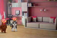 仔犬が遊びにくるよ「かわいい仔犬3D」…犬を飼う楽しさを体験 画像
