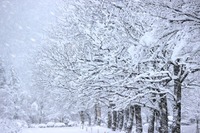 「除雪は必ず2人以上で」雪かき・雪下ろしの安全情報…内閣府 画像