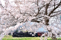 【春休み2018】都心から一番近い蒸気機関車、秩父鉄道SL3/31より運行 画像