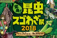 【夏休み2018】オービィ横浜、バーチャルとリアルで楽しむ2大昆虫展 画像