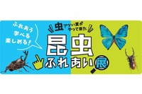【夏休み2018】小田急百貨店新宿店「昆虫ふれあい展」8/14-20 画像