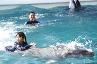 鴨川シーワールド、イルカと泳げる職業体験…小5・6年生募集 画像