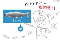 まるで図鑑、勉強にぴったりB5サイズ「滋賀のお魚ヨシノート」 画像