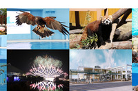 【GW2019】横浜・八景島シーパラダイス、10連休を満喫できるイベントを開催 画像