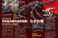 【自由研究】日本最大級の全身骨格「むかわ竜」のスゴさ 画像