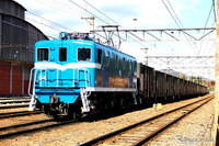 日本から姿を消す石炭列車…神奈川と埼玉を結ぶ最後の列車は今年度限り 画像