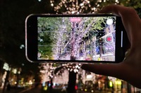 夜間ポートレートや高品質動画…iPhone 12 Pro性能チェック 画像