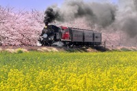 真岡鐡道、蒸機機関車とディーゼル機関車が併結12/20 画像