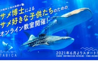 美ら海水族館のサメ博士らによるオンライン教室6/26より