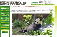 上野動物園パンダ「シンシン」2頭出産 画像