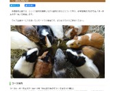東京都多摩動物公園「オータムスクール」参加者募集