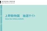 ジャイアントパンダ、12/21より観覧申込受付…上野動物園