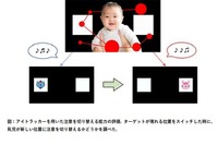 早産児、注意の切り替え機能の弱さ…認知機能に関連 画像
