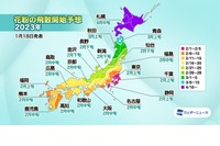 スギ花粉、2月上旬に飛散開始…関東や西日本を中心に増加 画像