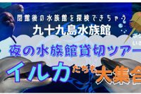 九十九島水族館海きらら、夜のオンラインツアー5/19 画像
