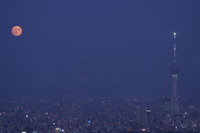 中秋の名月、サンシャイン60展望台で天体観賞会9/29 画像