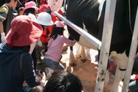 親子で乳牛牧場体験、新鮮な牛乳を使った料理作りなども…10/28福岡  画像