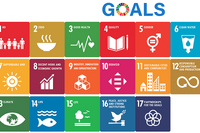 SDGs「ジェンダー平等の実現」認知と重要度にギャップ 画像