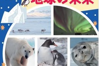 【夏休み2024】小学生向け「南極・北極からSDGsを考える」ワークショップ8/20 画像