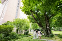 【大学受験2025】日本女子大、地方入学者対象「桜楓樹給付奨学金」開始