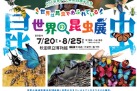 【夏休み2024】秋田県立博物館「世界の昆虫展」8/25まで 画像
