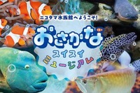 【夏休み2024】玉川高島屋S・C「ニコタマ水族館」8/16-9/1