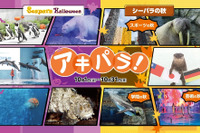 ハロウィンや秋イベント「アキパラ」八景島シーパラ10月