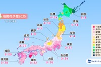 桜開花、3/21東京から開始…北日本は早まる予想 画像