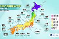 2025年花粉飛散予想、スギ花粉1月下旬から開始