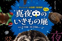 サンシャイン水族館、真夜中の生き物展 画像