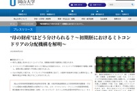岡山大、ミトコンドリアの分配機構を解明…体外受精の安全性向上へ 画像