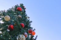 【中学受験】保護者仲間の存在に安心感「受験直前企画！中学受験なんでも相談会」