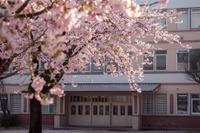 【中学受験2026】今年の人気校は？ねらい目校は？…過去問の売れ行き前年比較で探る注目校＜共学校編・後編＞