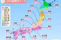 桜開花予想、東京3/22…つぼみ調査で西日本は「先が黄色に」