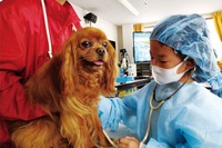 小学生対象「獣医さん体験スクール」愛知4/11-12