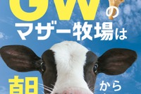 【GW2026】マザー牧場、GWは早朝から開園…羊200頭の大放牧も