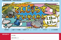 【GW2026】さいたま水族館など5/5子供無料に…県営公園イベントまとめ