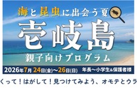 【夏休み2026】壱岐島、親子向けプログラム参加者募集