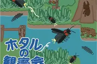 東京・練馬で「ホタルの観察会」6-7月…展示や体験も