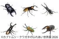 【夏休み2026】「カブトムシ・クワガタのふれあい世界展」浅草橋8/1-16