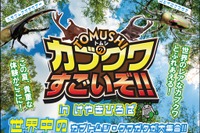 【夏休み2026】世界の人気昆虫が大集合…けやきひろば7/18