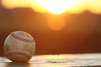 【高校野球2026夏】天理・智辯和歌山・三重・仙台育英が勝利、第12日は霞ケ浦vs横浜
