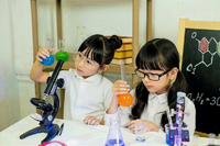 【夏休み2026】化学・物理・生物・地学関連、東大流の科学実験で自由研究