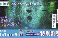 大洗水族館「東京都民の日」にあわせて割引キャンペーン